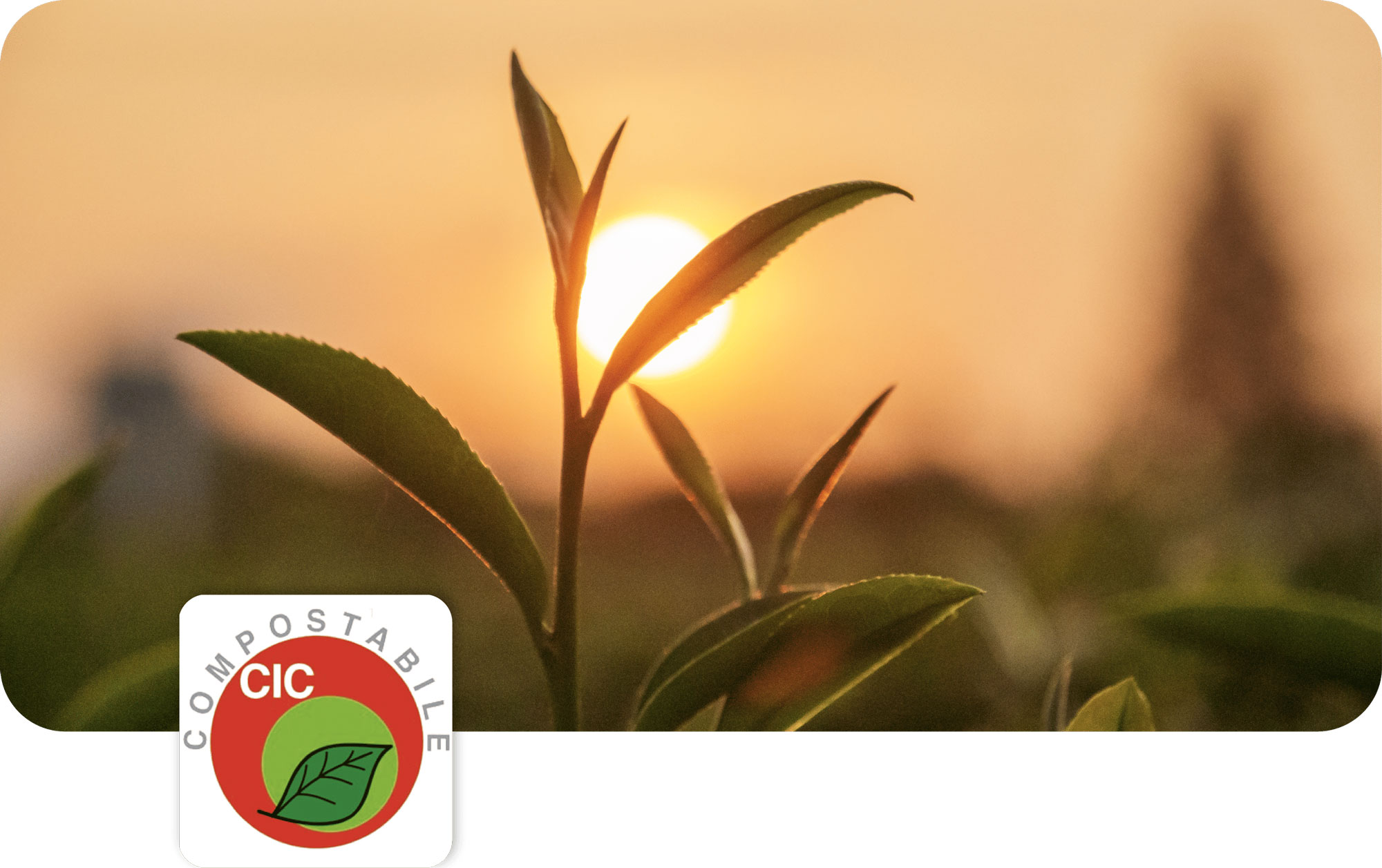 Certificazioni_Sostenibili-e-riciclabili