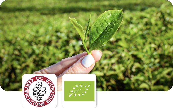 Certificazioni_biologico_def